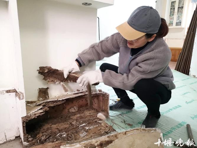 白蚁家具-白蚁家具怎么样